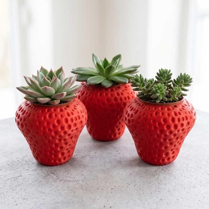 3'lü Set Dekoratif Çilek Saksı | Mini Sukulent ve Kaktüs Saksısı | Craftelle 3D Kurabiye Kalıbı